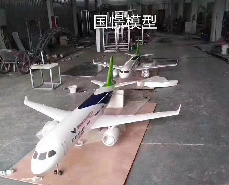 屏山县飞机模型